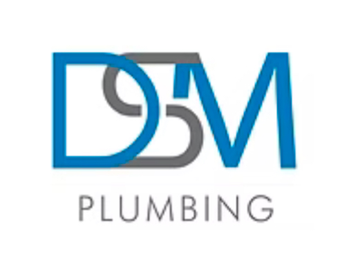DSM PLUMBING