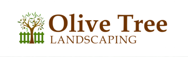 Olive Tree Landscaping