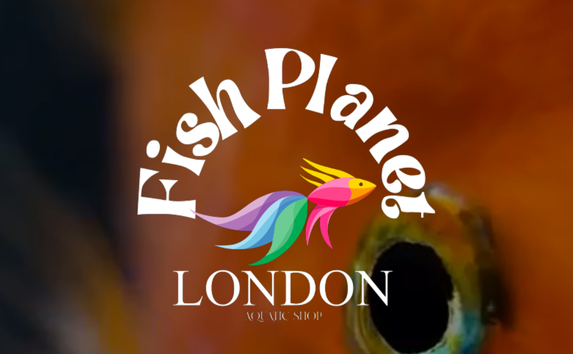 Fish Planet London