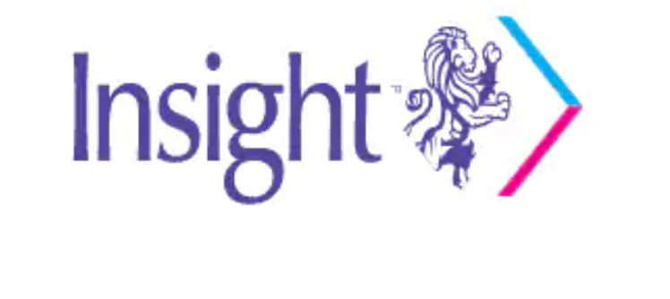 Insight private investigators