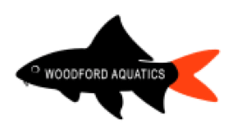 Woodford Aquatics